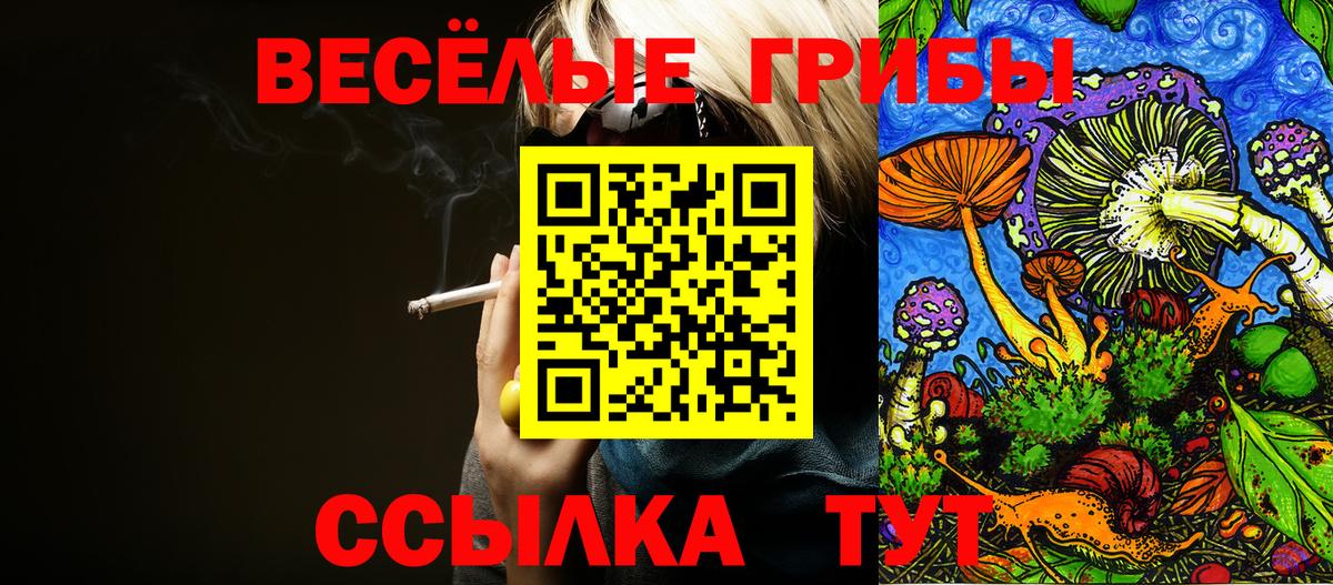 Псилоцибиновые грибы Magic Shrooms  Вход с VPN  Апшеронск  Псилоцибиновые грибы Psilocybe 